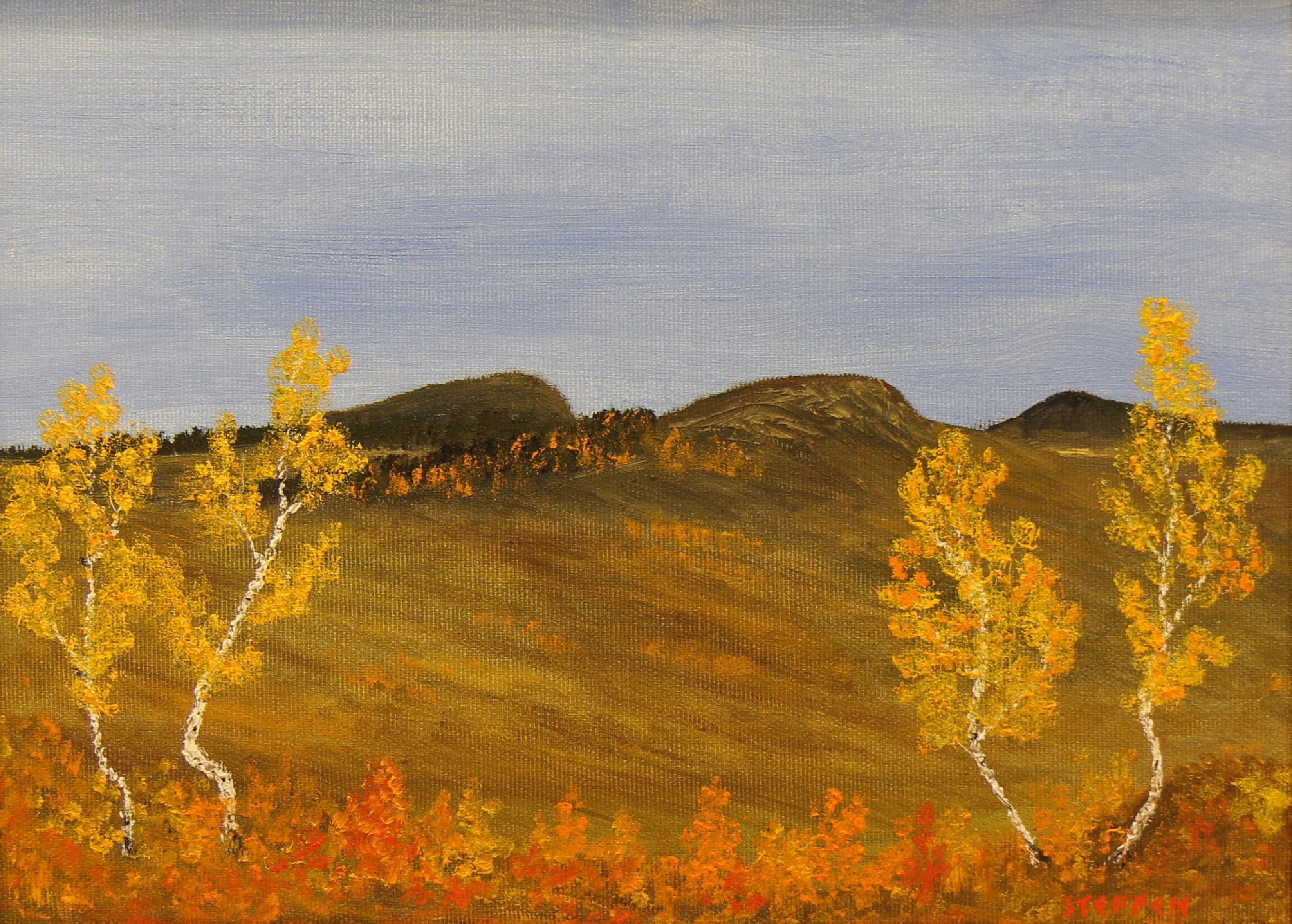 20_Höstbjörkar_33x22