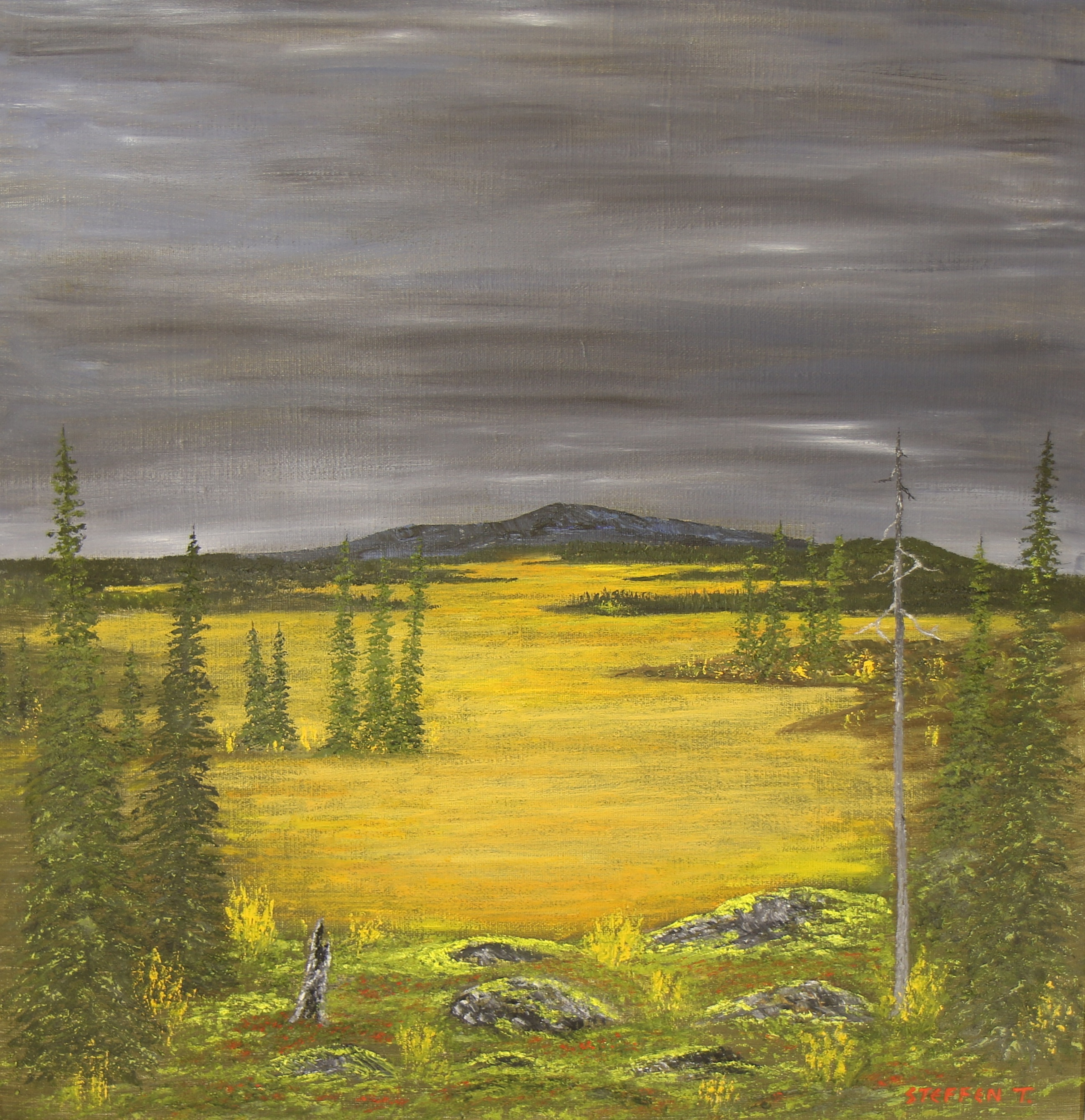 2_Stormyren_52x52