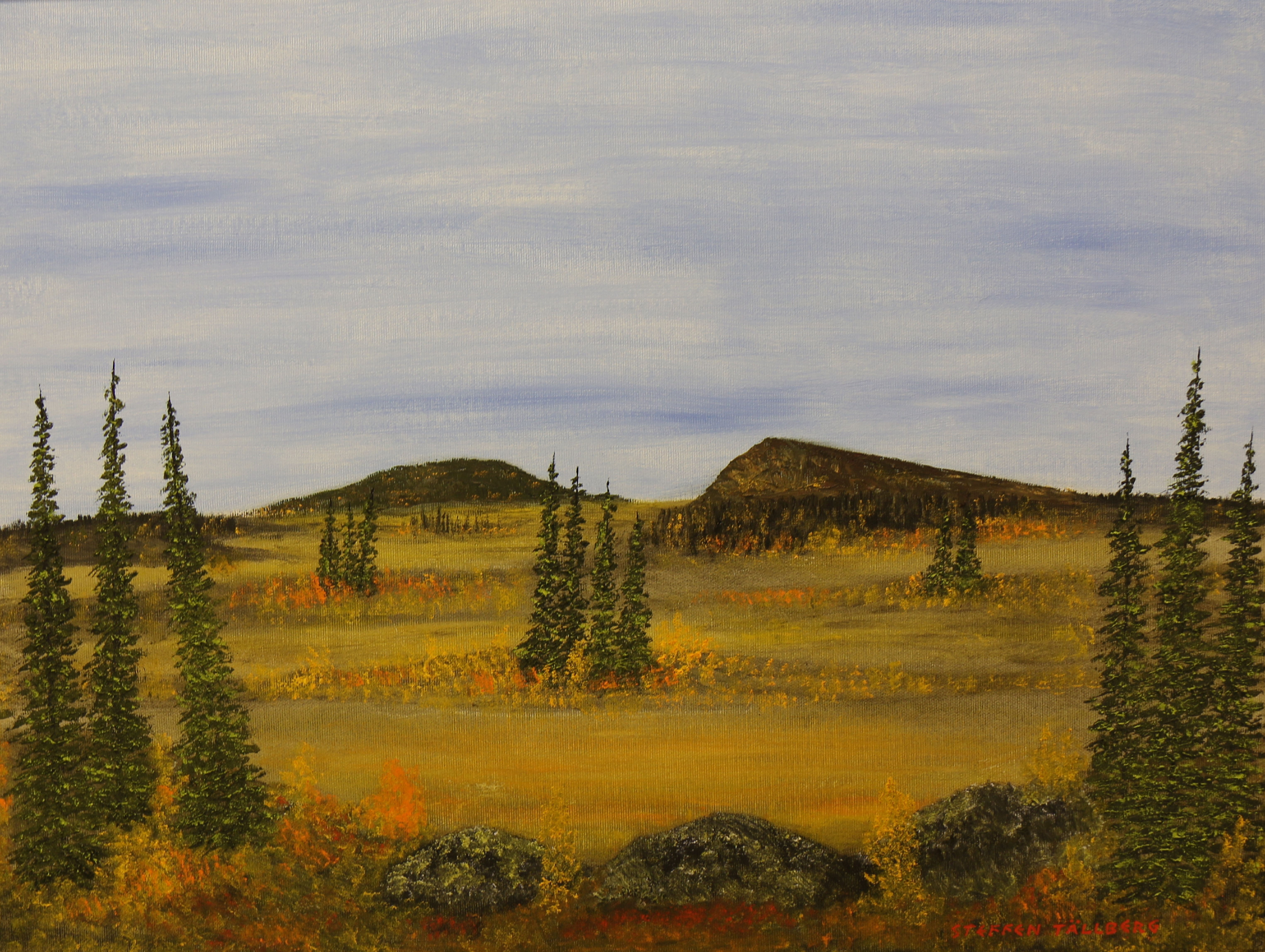 38_Julgransmyren_61x46