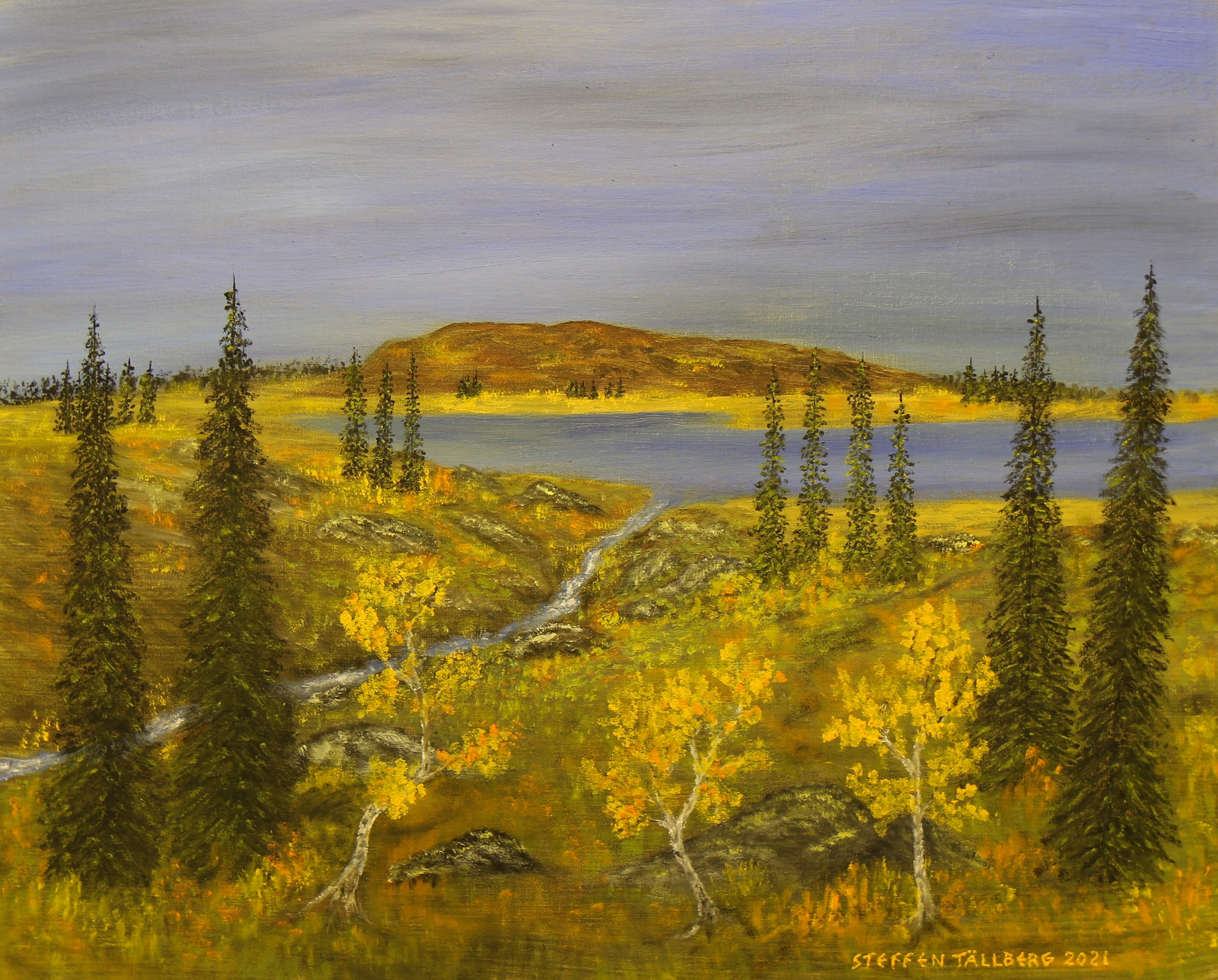 42_Guldtjärnsbäcken_63x51